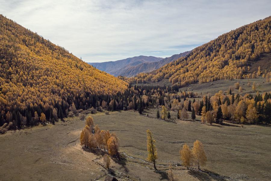 DJI_0869.jpg
