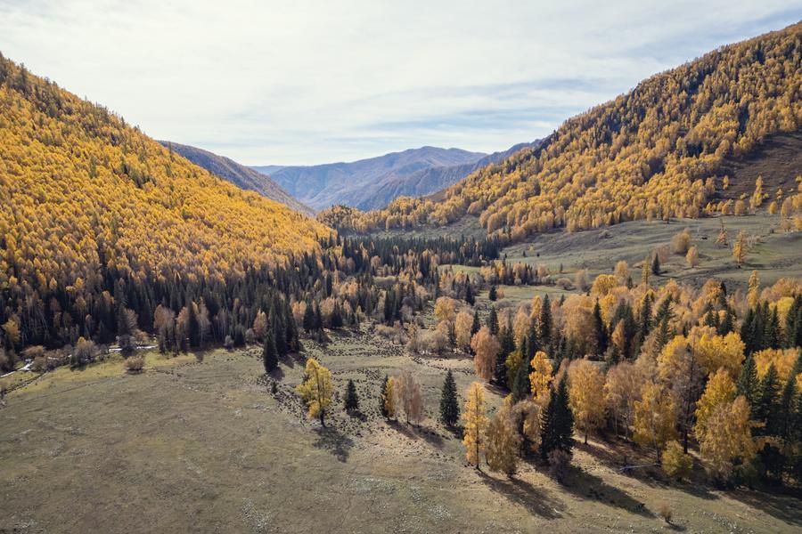 DJI_0905.jpg