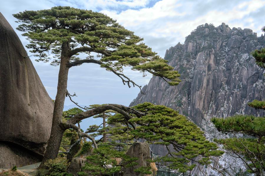 DSC06477.jpg