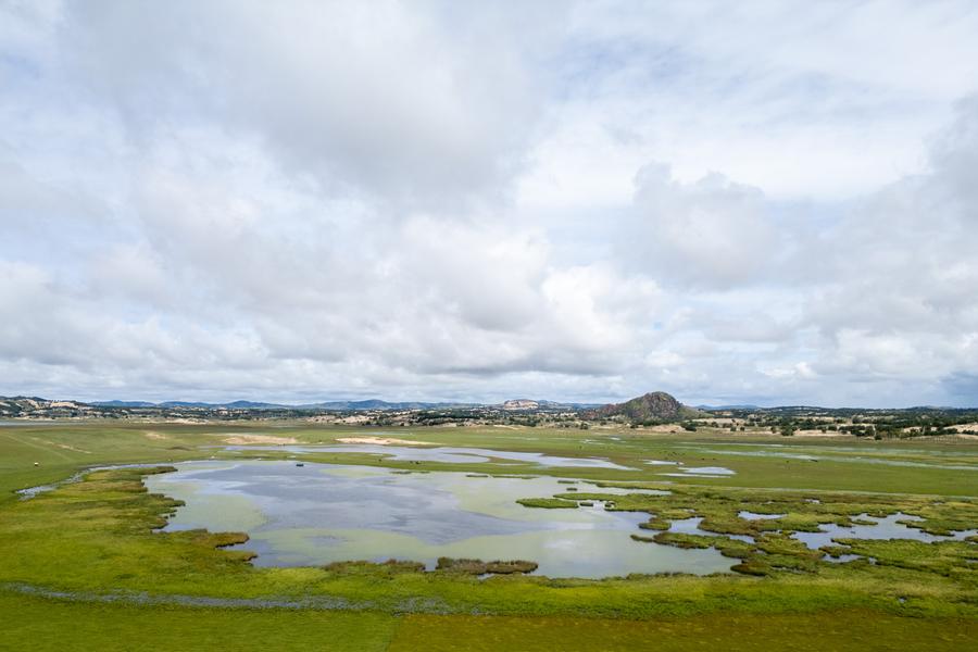 DJI_0833.jpg
