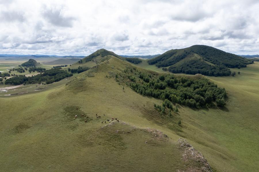 DJI_0835.jpg