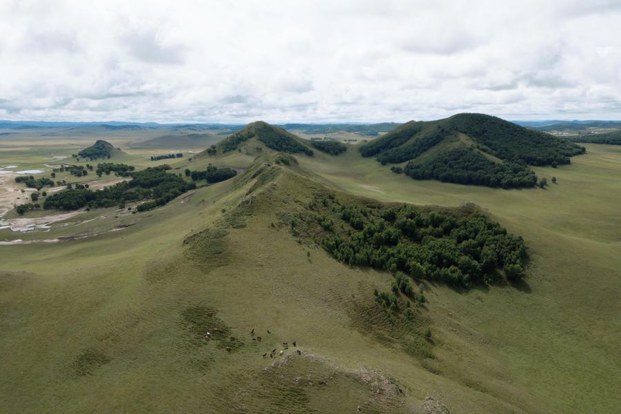 DJI_0836.jpg