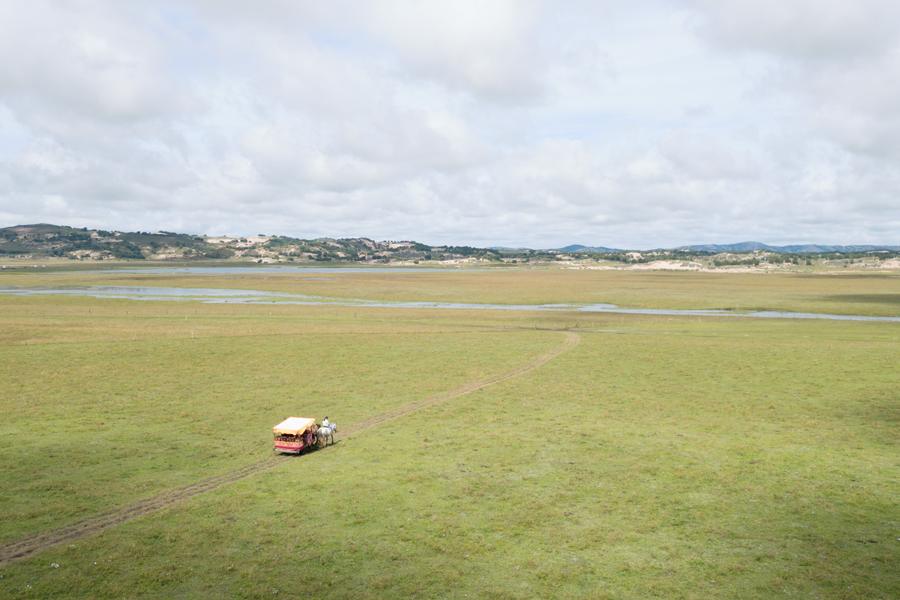 DJI_0850.jpg
