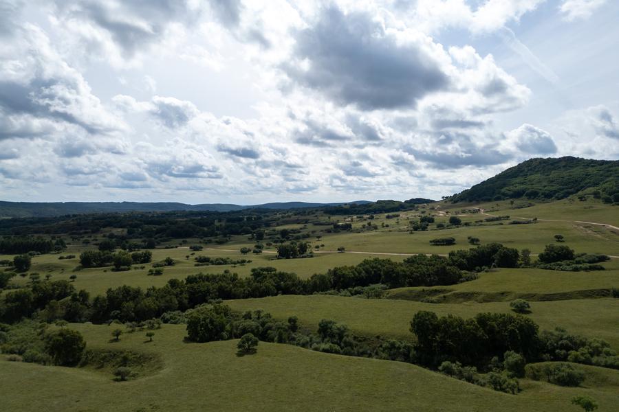 DJI_0862.jpg