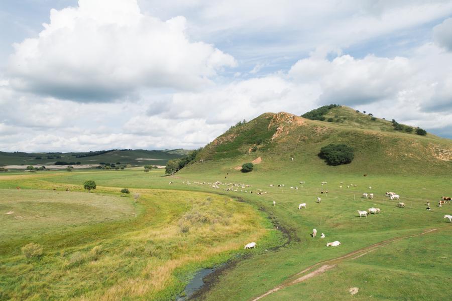 DJI_0873.jpg
