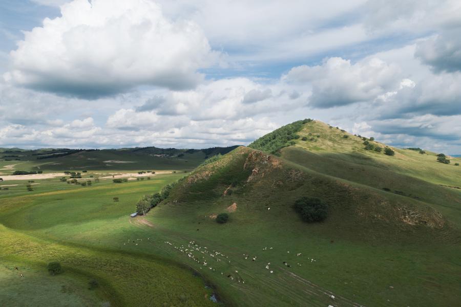 DJI_0876.jpg