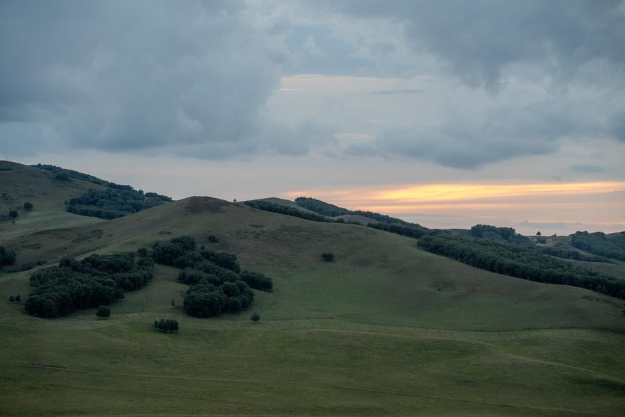 DSC08784.jpg