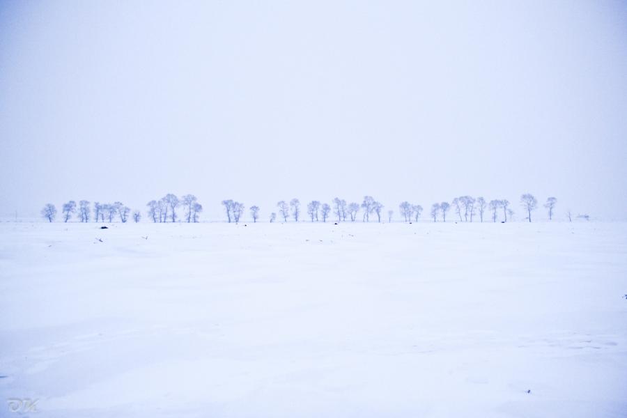 20121229-IMG_5858.jpg
