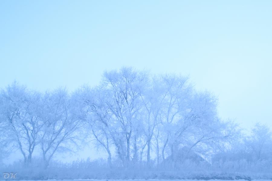 20121230-IMG_5921.jpg