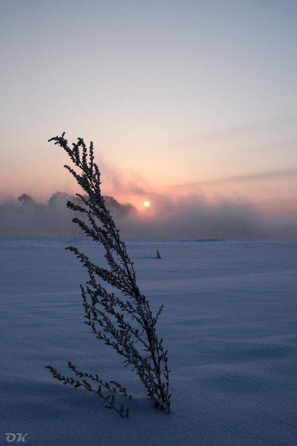 20121230-IMG_5992.jpg