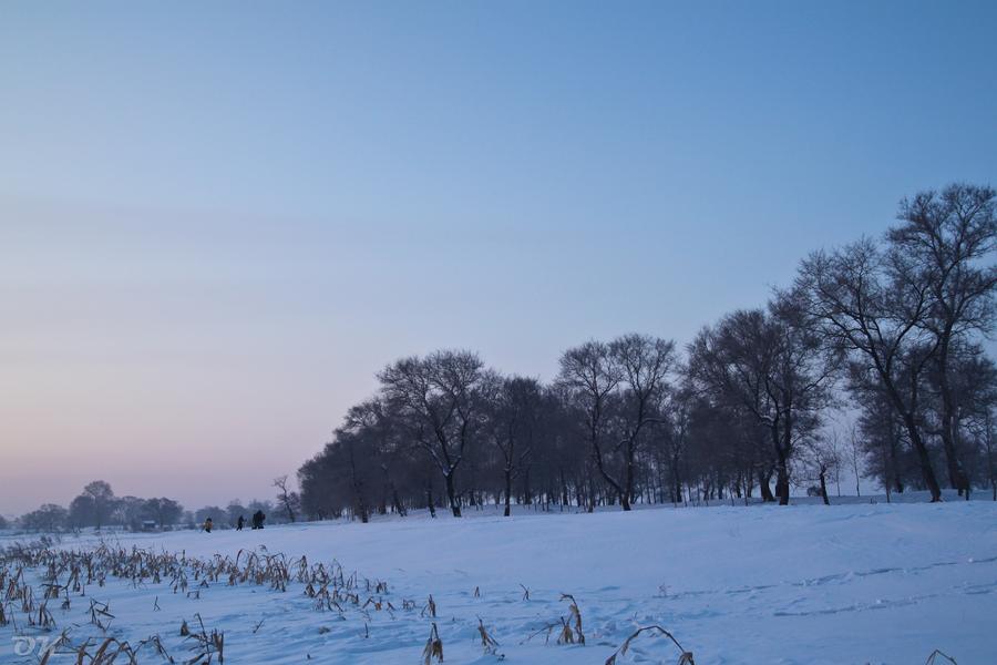 20121230-IMG_6003.jpg