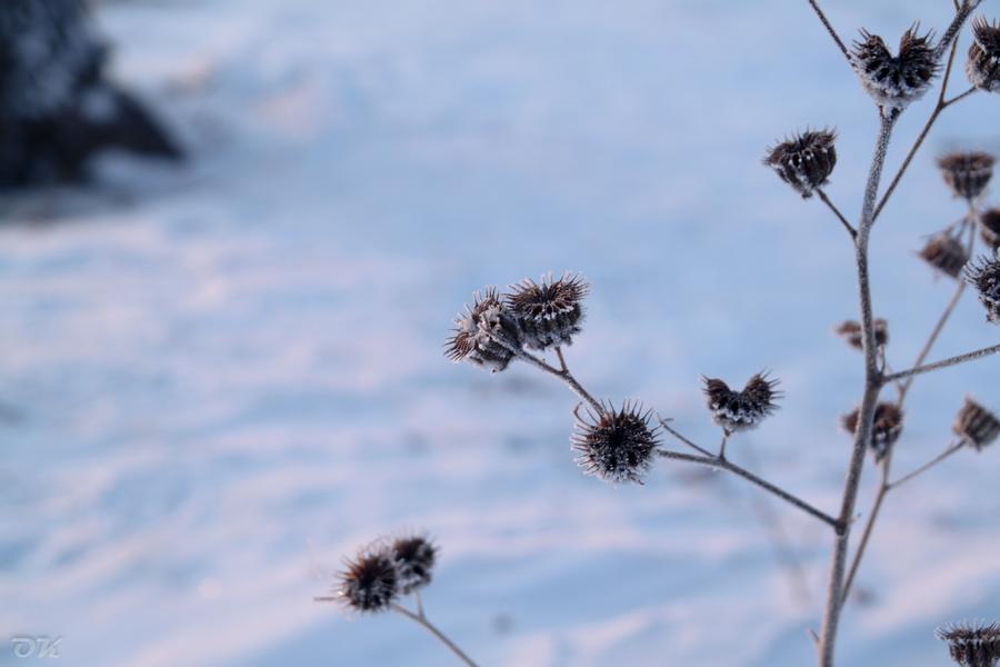 20121230-IMG_6047.jpg