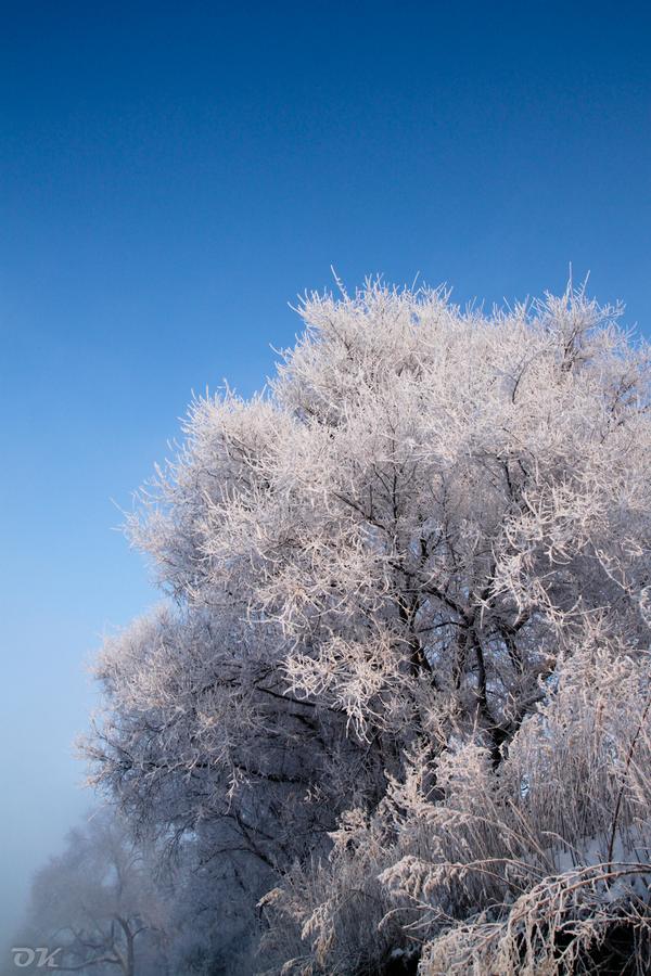 20121230-IMG_6154.jpg