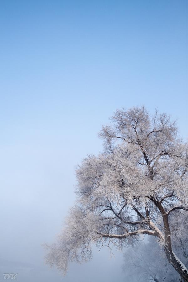 20121230-IMG_6157.jpg