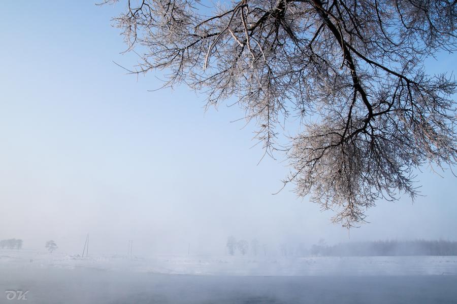 20121230-IMG_6165.jpg