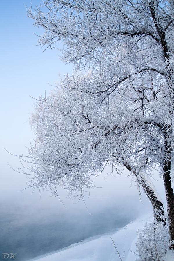 20121230-IMG_6167.jpg