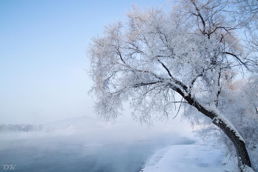 20121230-IMG_6173.jpg