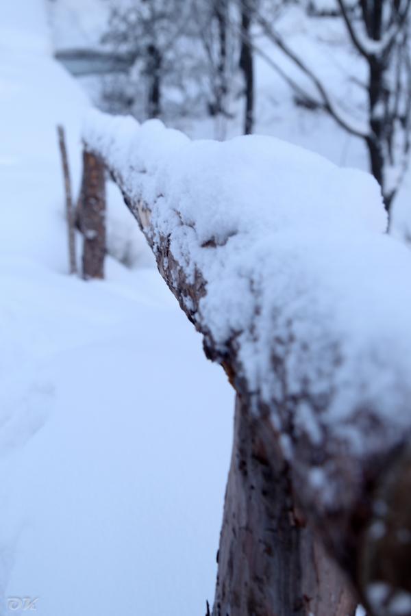 20121231-IMG_6274.jpg