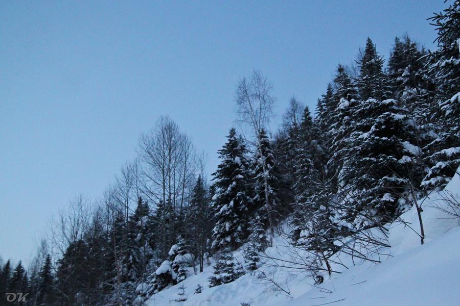 20130101-IMG_6364.jpg