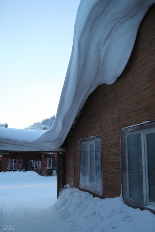 20130101-IMG_6387.jpg
