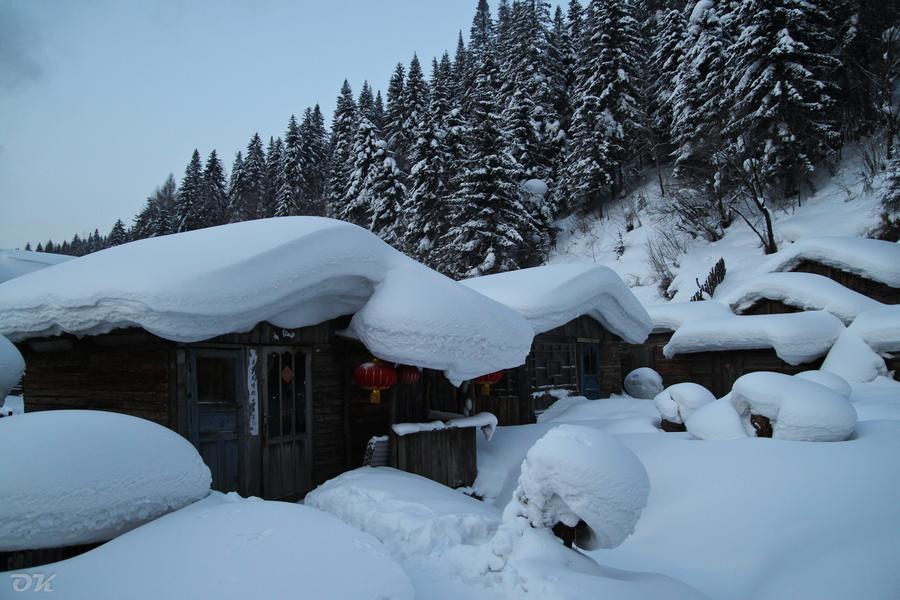 20130101-IMG_6393.jpg