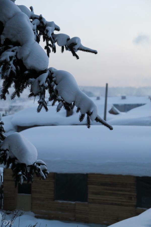20130101-IMG_6403.jpg