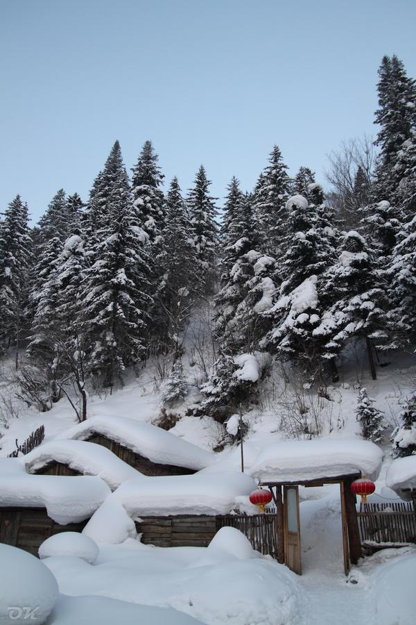 20130101-IMG_6421.jpg