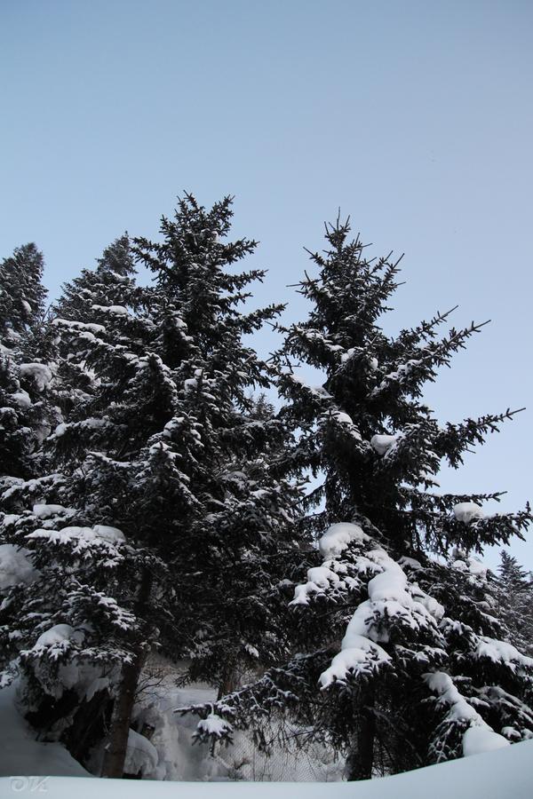 20130101-IMG_6426.jpg