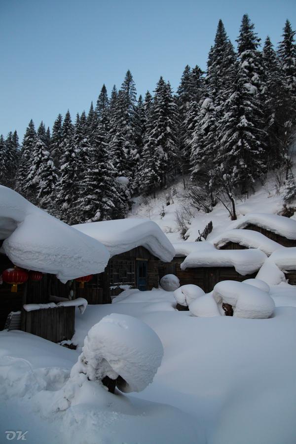 20130101-IMG_6429.jpg
