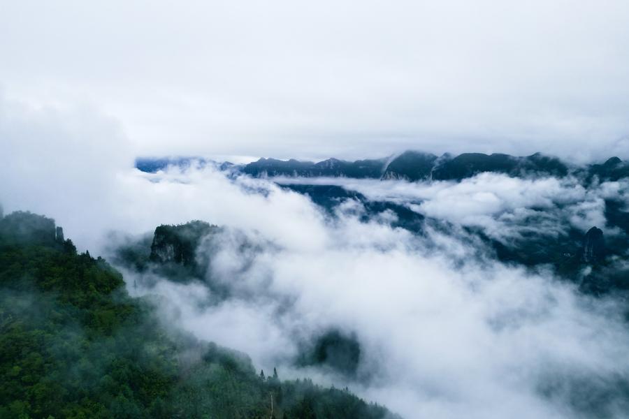 DJI_0525.jpg