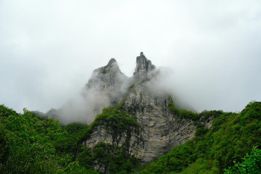 DSC01659.jpg