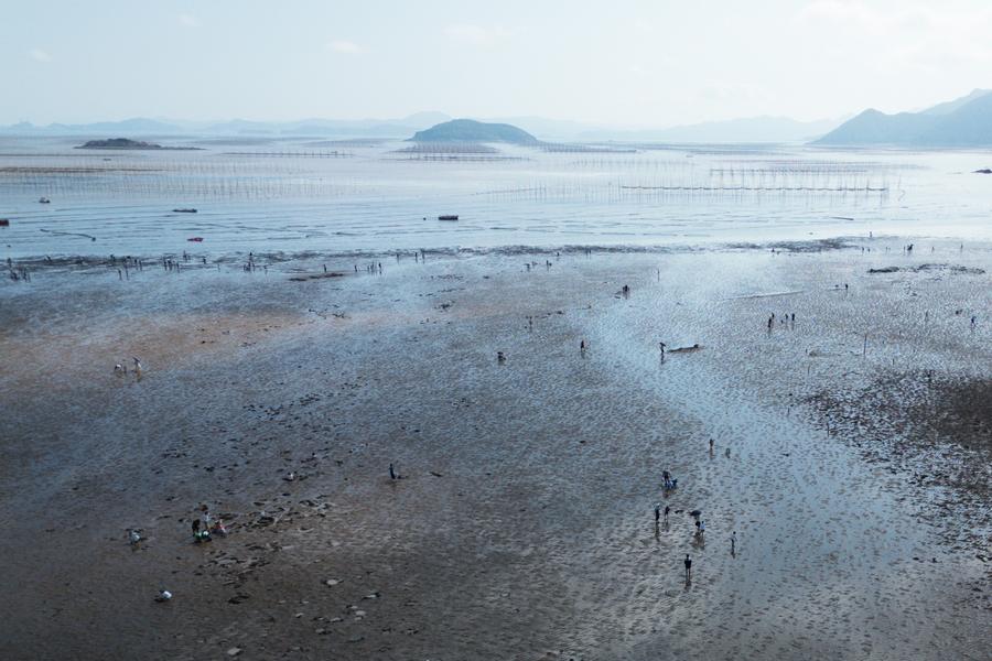 DJI_0118.jpg