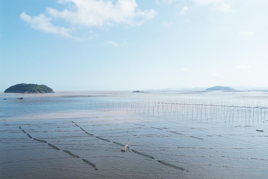 DJI_0125.jpg