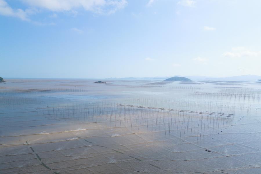 DJI_0126.jpg