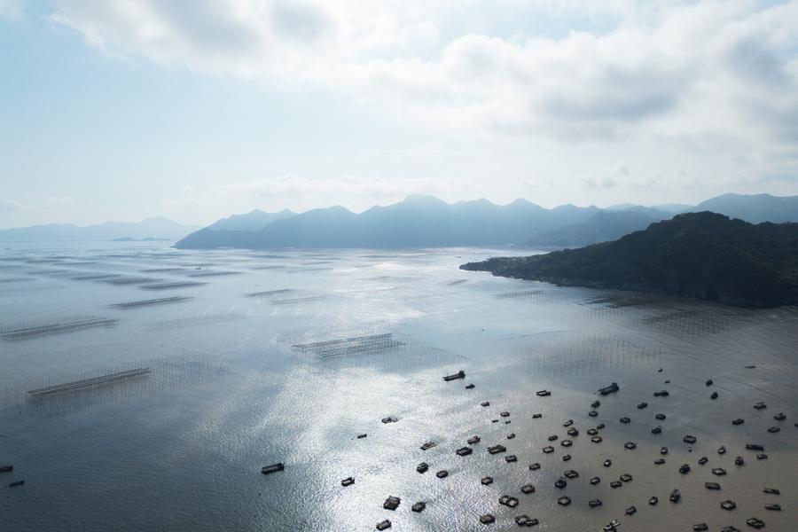 DJI_0159.jpg