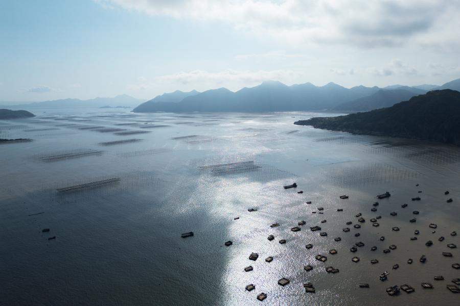 DJI_0162.jpg