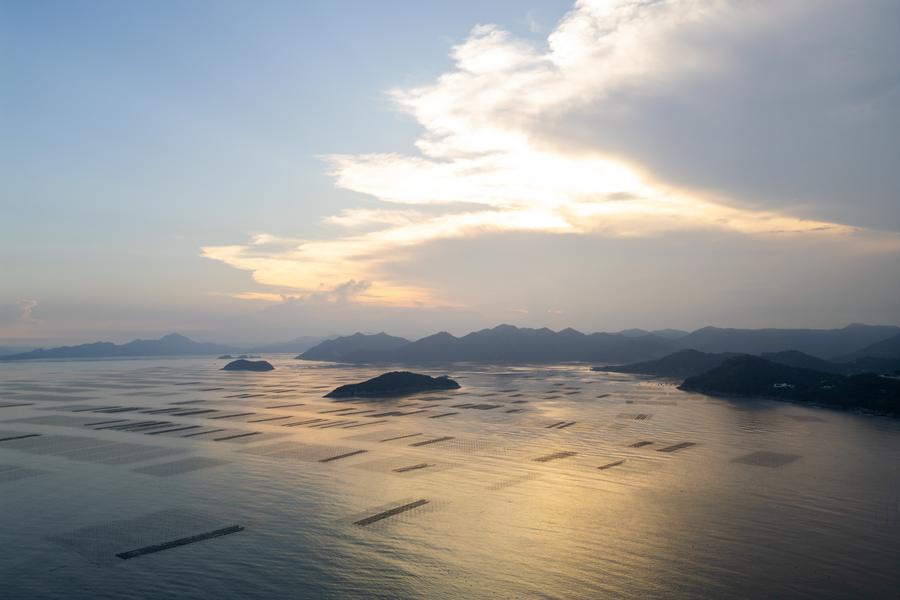 DJI_0174.jpg