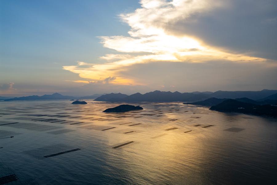 DJI_0176.jpg