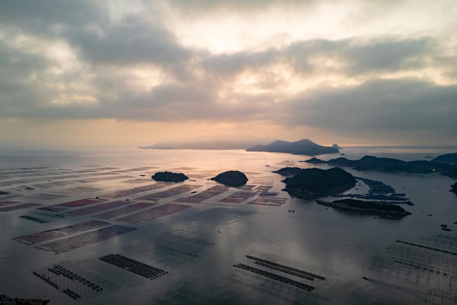 DJI_0204.jpg