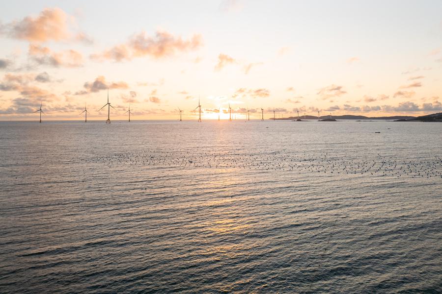 DJI_0303.jpg