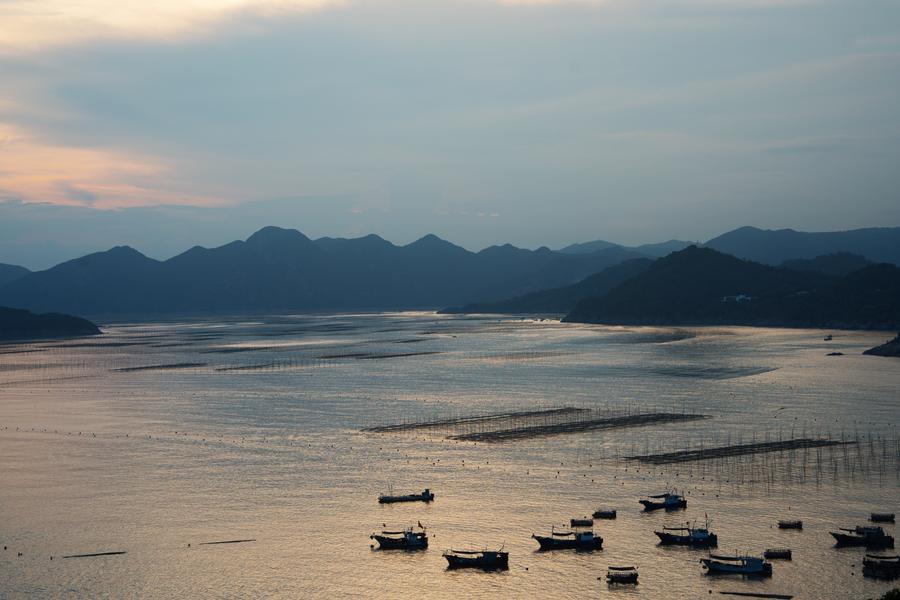 DSC09962.jpg