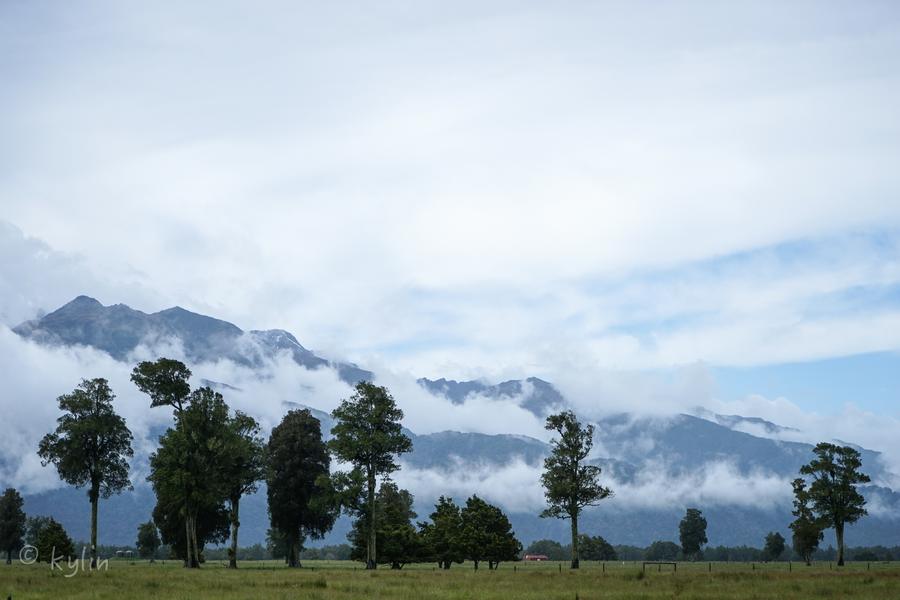 DSC07029-1.jpg