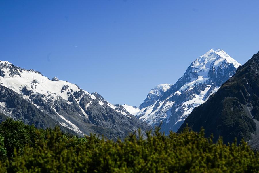 DSC08479-6.jpg