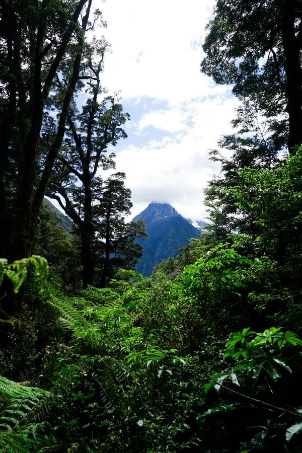 DSC08811-1.jpg