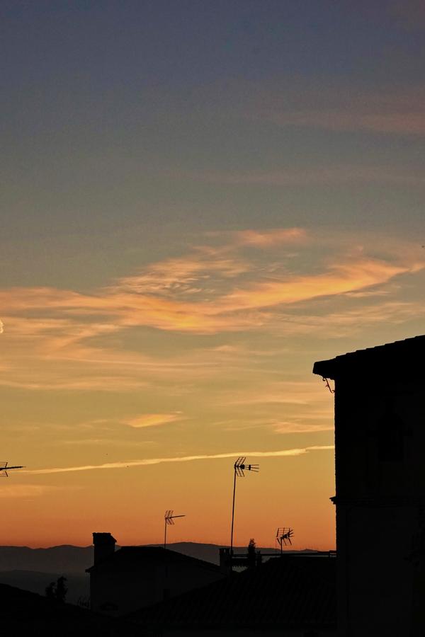DSC00857_polarr.jpg