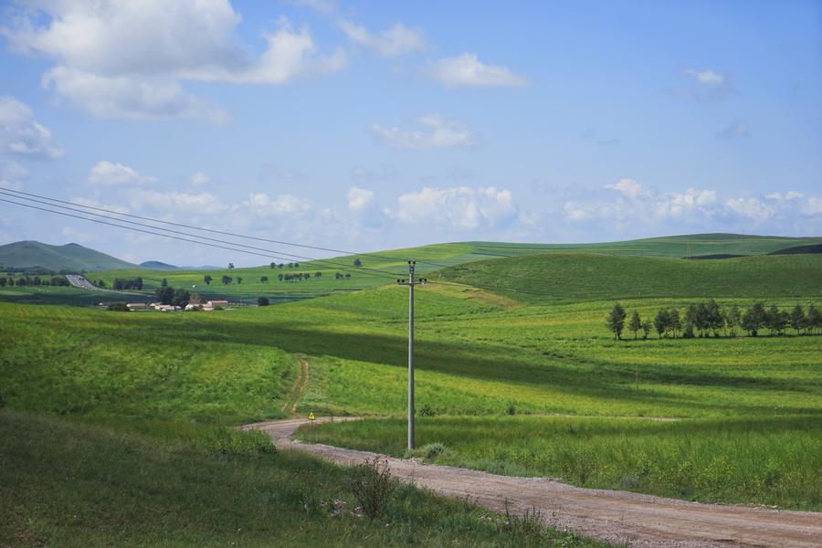 DSC09602_polarr.jpg