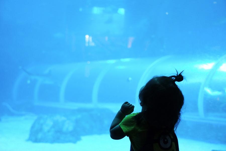 IMG_3451_polarr.jpg