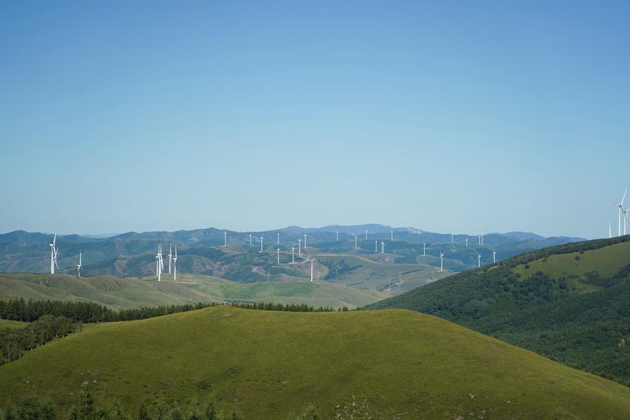 1661085595625_polarr.jpg