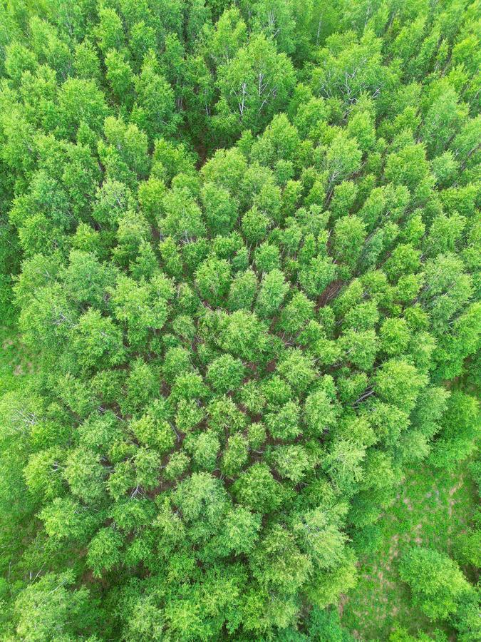 DJI_0868_polarr.jpg