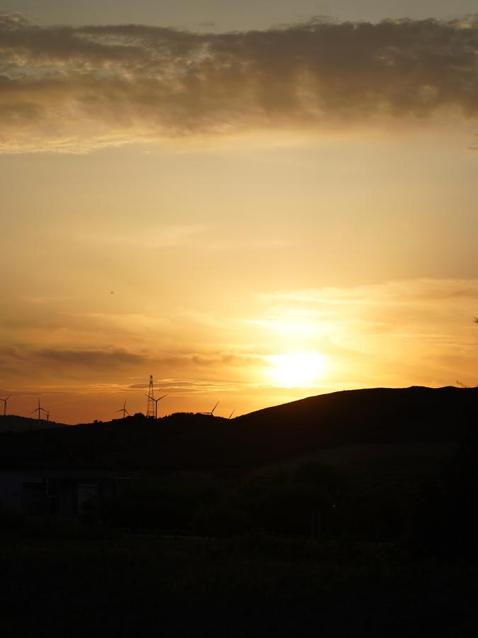 DSC07908_polarr.jpg